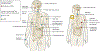 Fig. 4 |