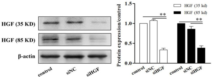 Fig. 3: