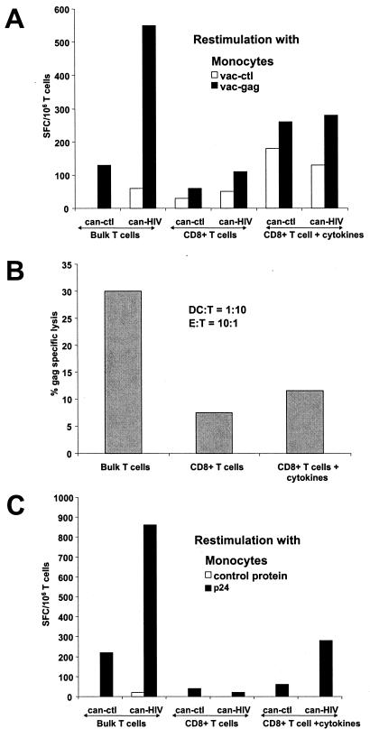 FIG. 6