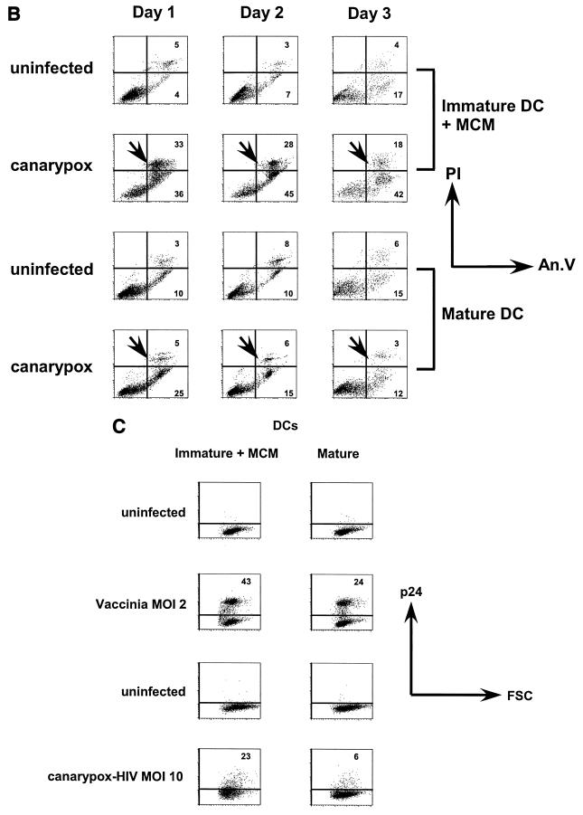 FIG. 1