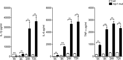 Fig. 3.