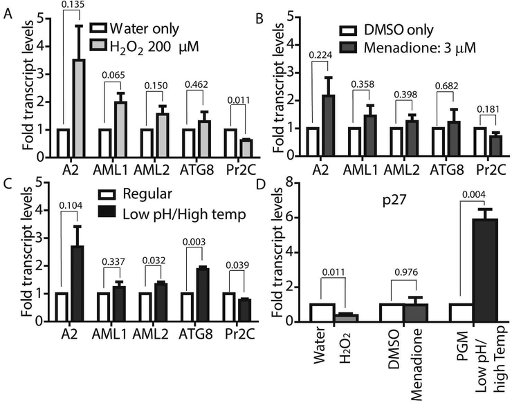 Figure 6: