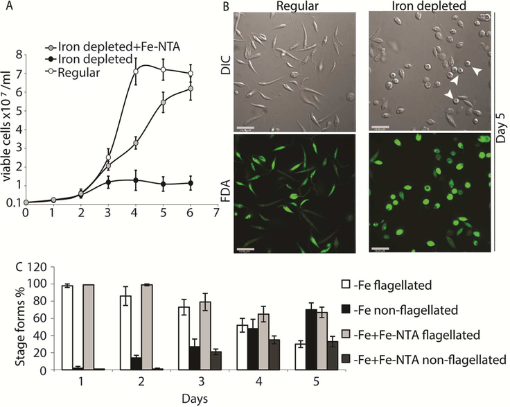 Figure 2: