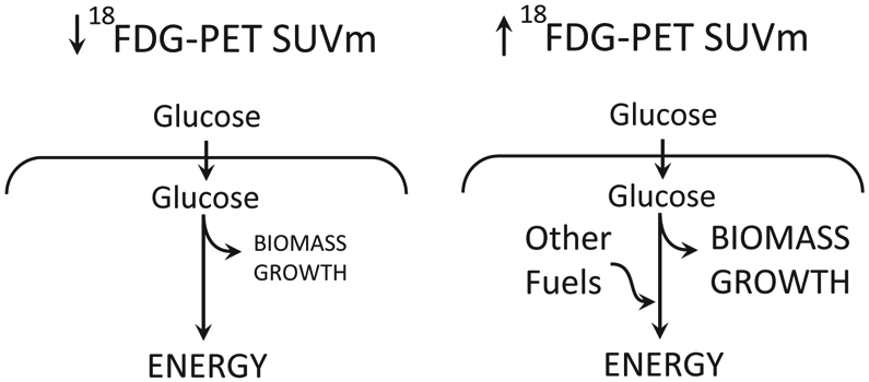 Figure 5: