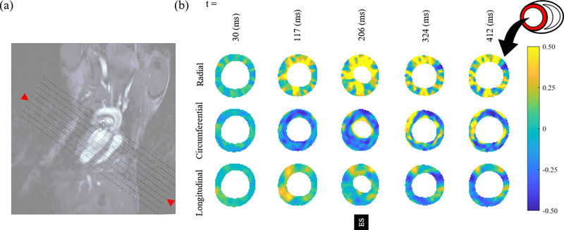 Fig. 4: