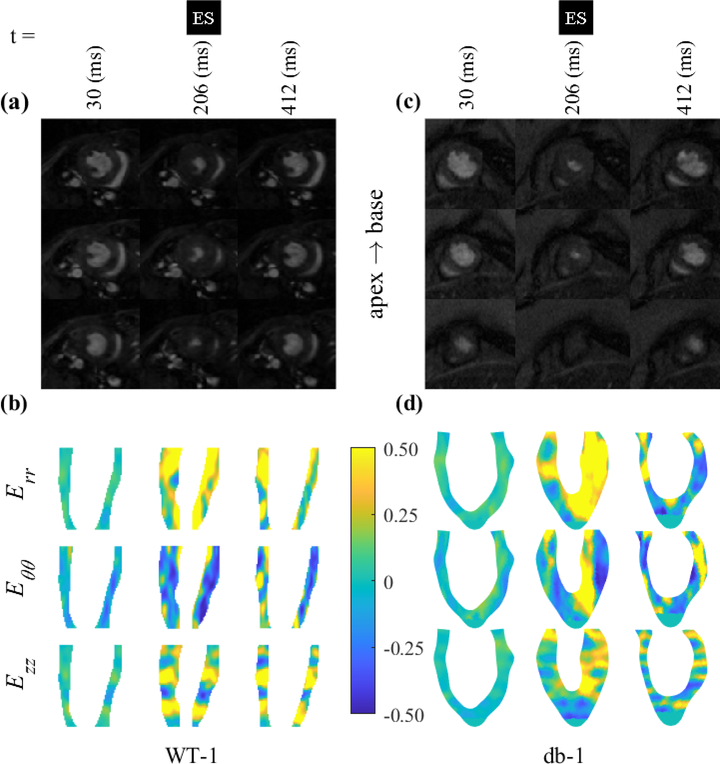 Fig. 3: