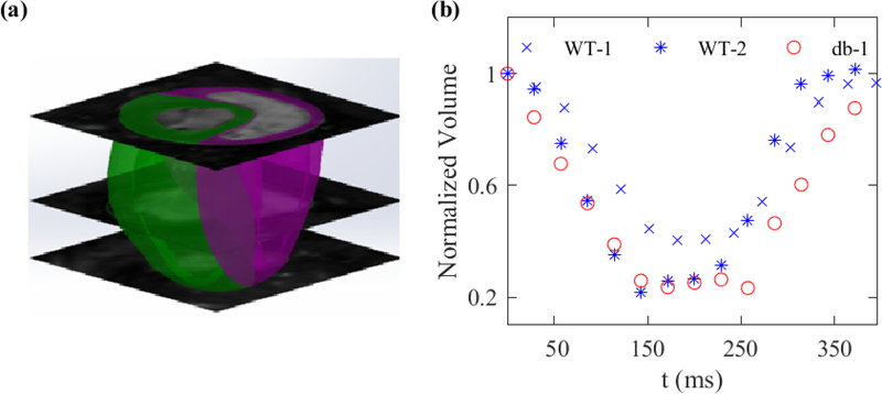 Fig. 1: