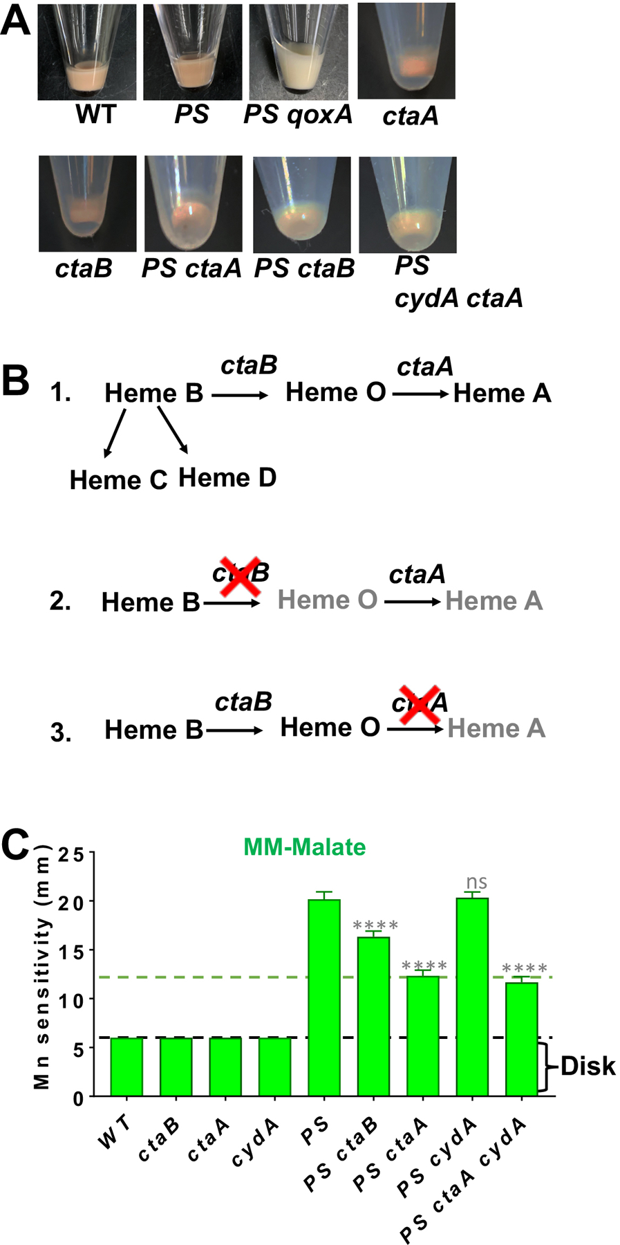 Fig 3.