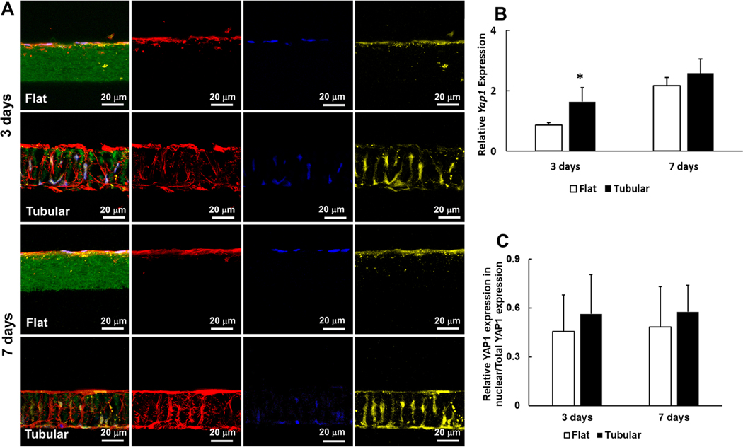 Figure 6.