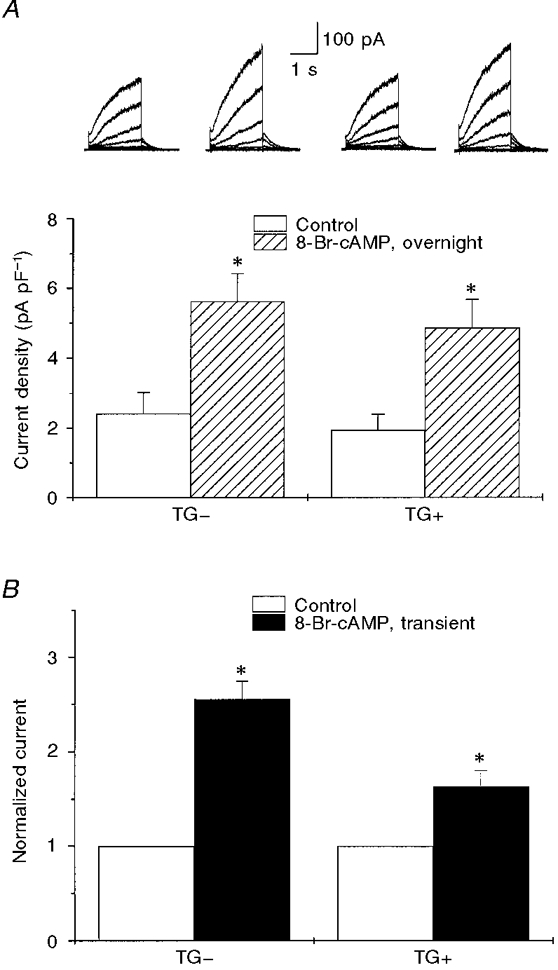 Figure 7