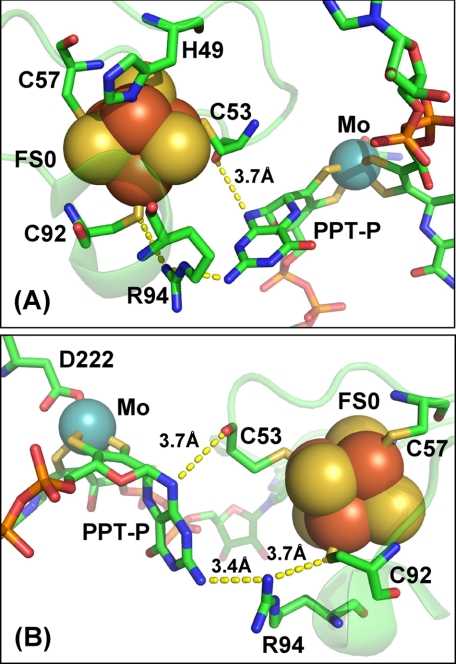 FIGURE 1.