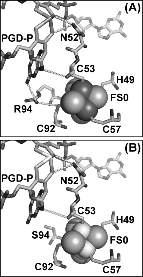 FIGURE 4.