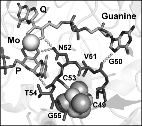 FIGURE 3.