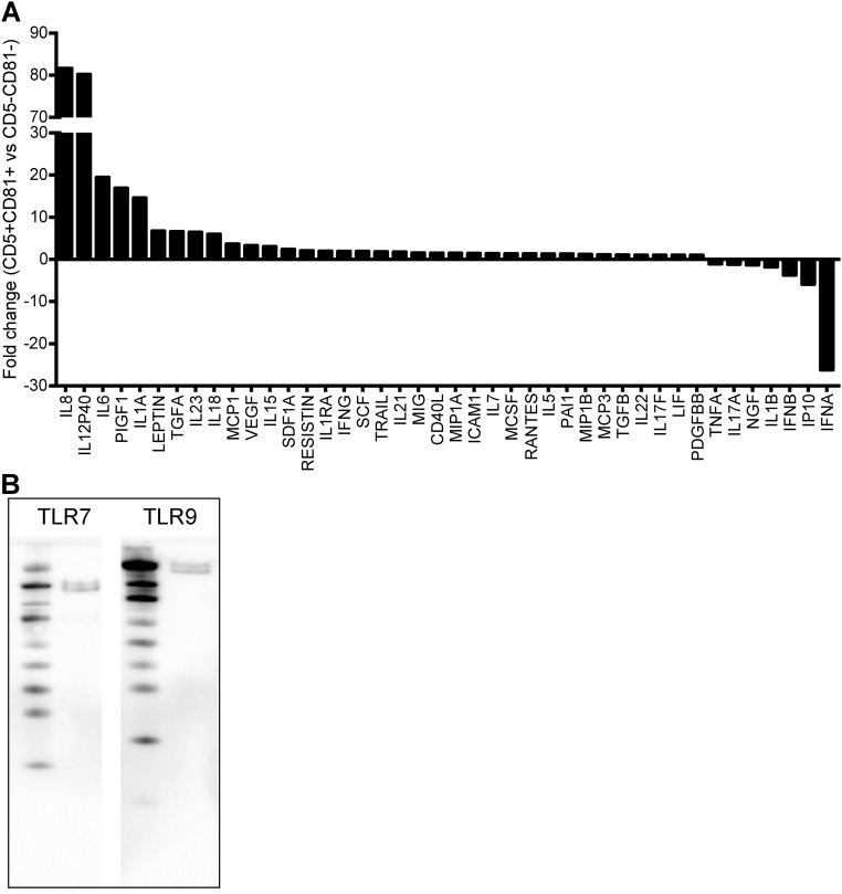 Fig. S5.