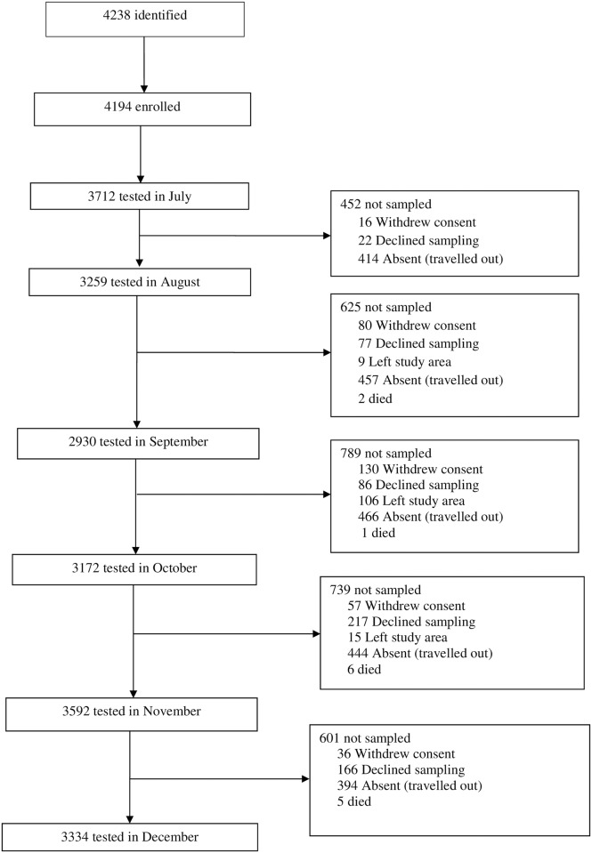 Fig 1