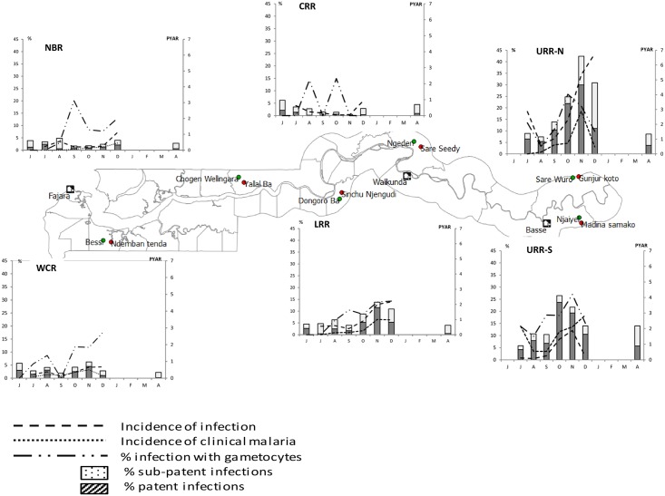 Fig 3