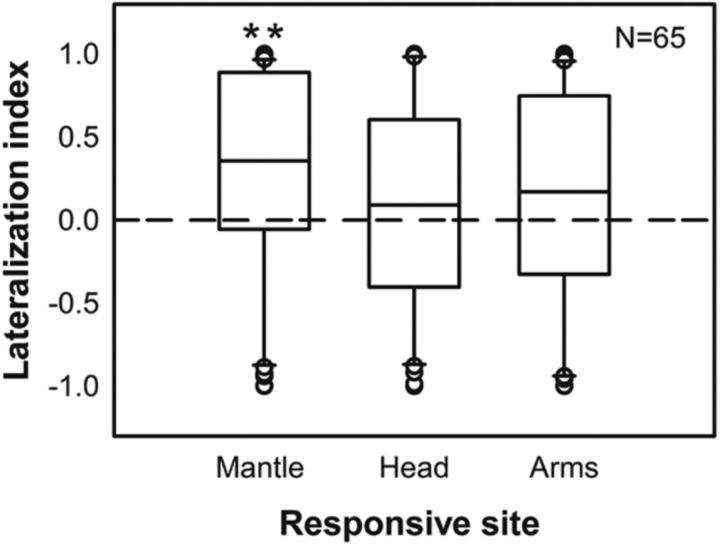 Figure 7.