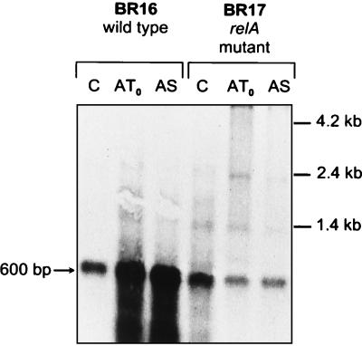 FIG. 6