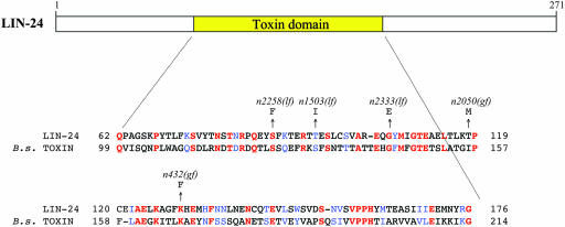 Figure 4.—