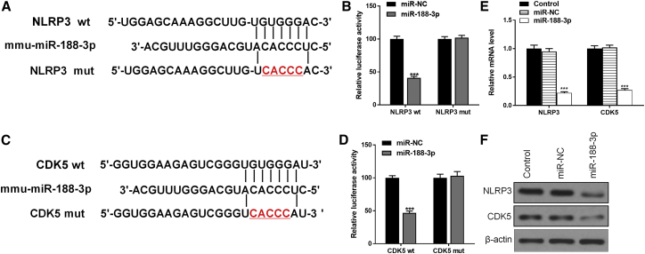 Figure 6