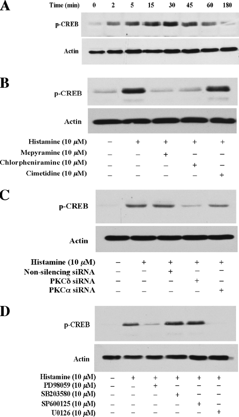 FIGURE 9.