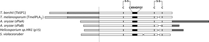 FIGURE 1.