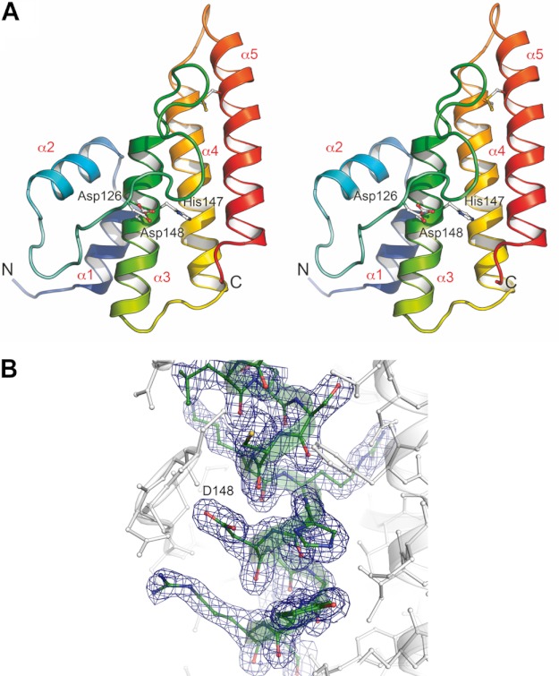 FIGURE 2.