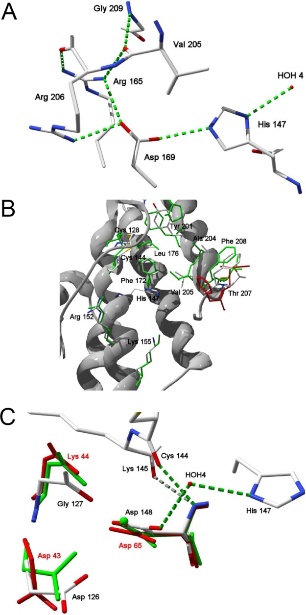 FIGURE 3.