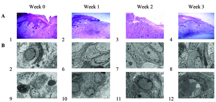 Fig. 2