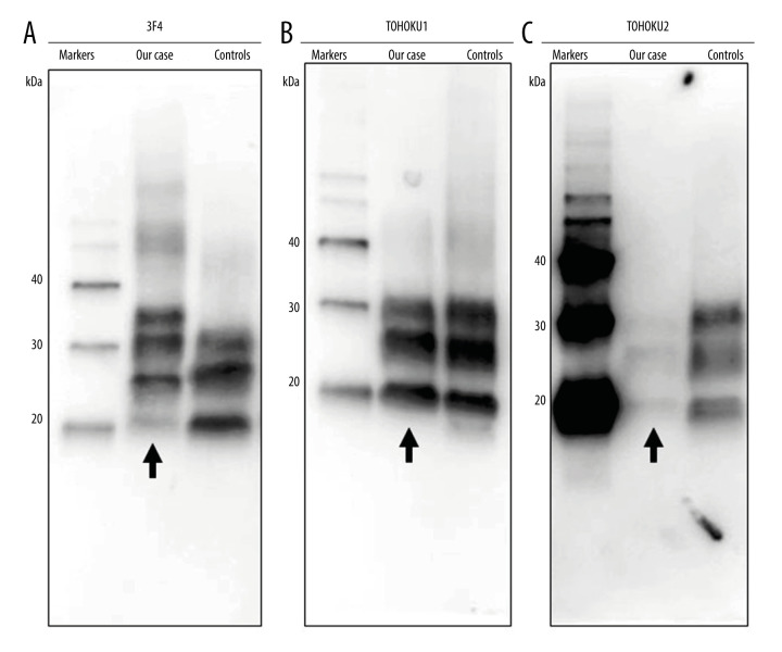 Figure 5.