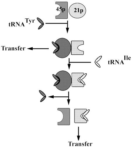 FIG. 5.