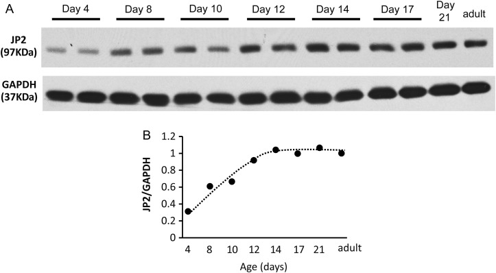 Figure 4