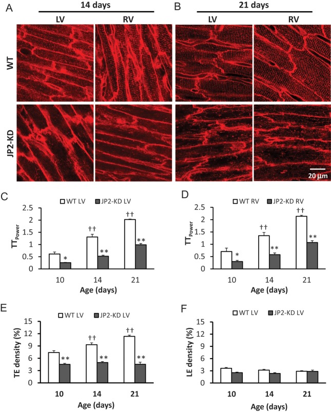 Figure 6