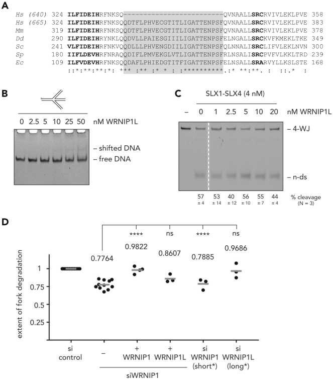 Figure 5