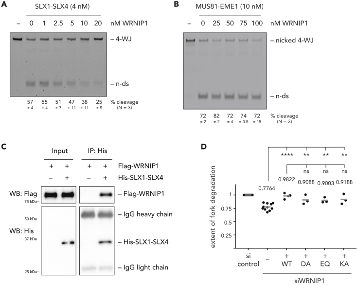 Figure 3