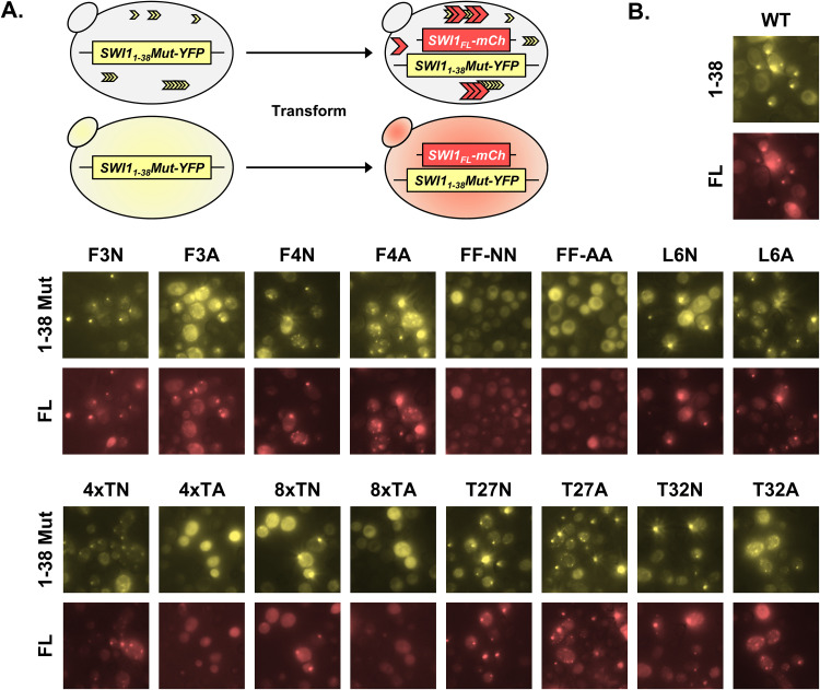 FIG 4