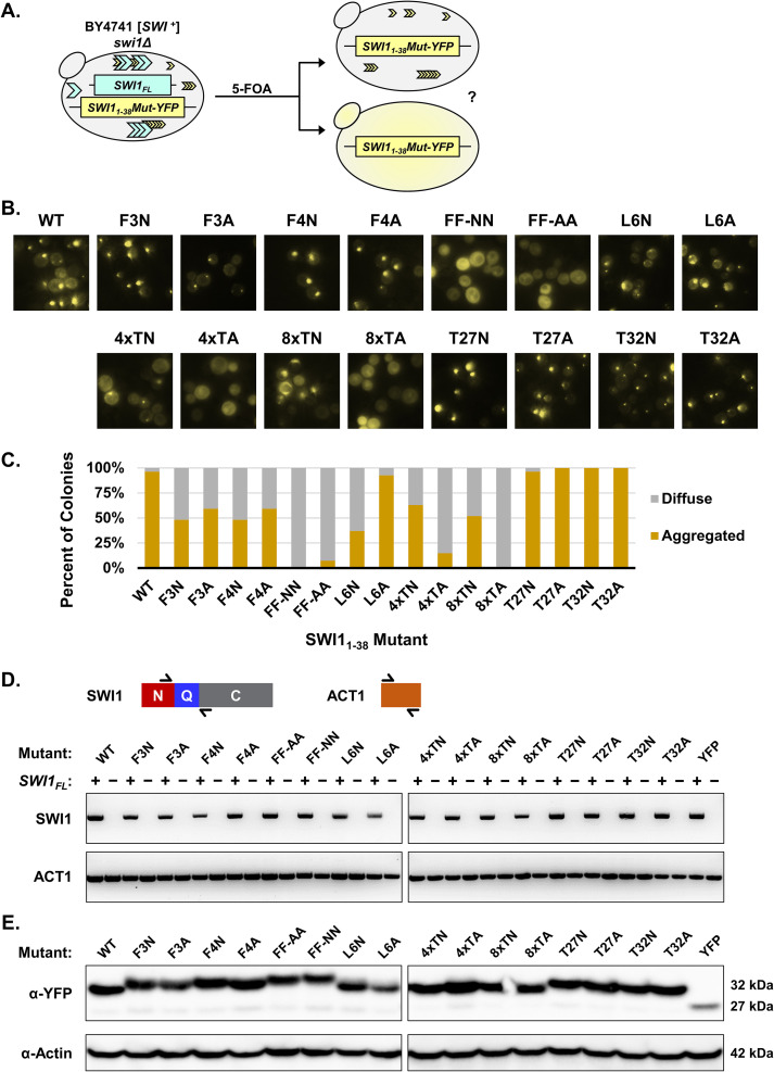 FIG 3