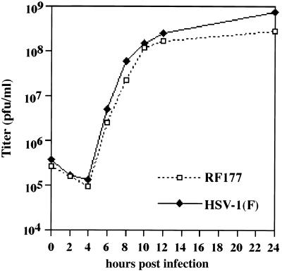 FIG. 6