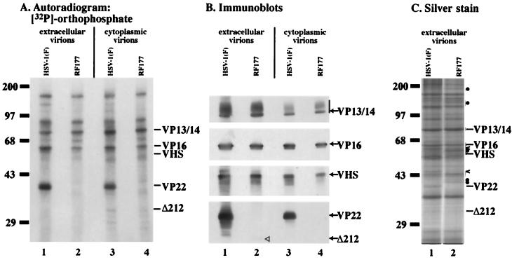 FIG. 8