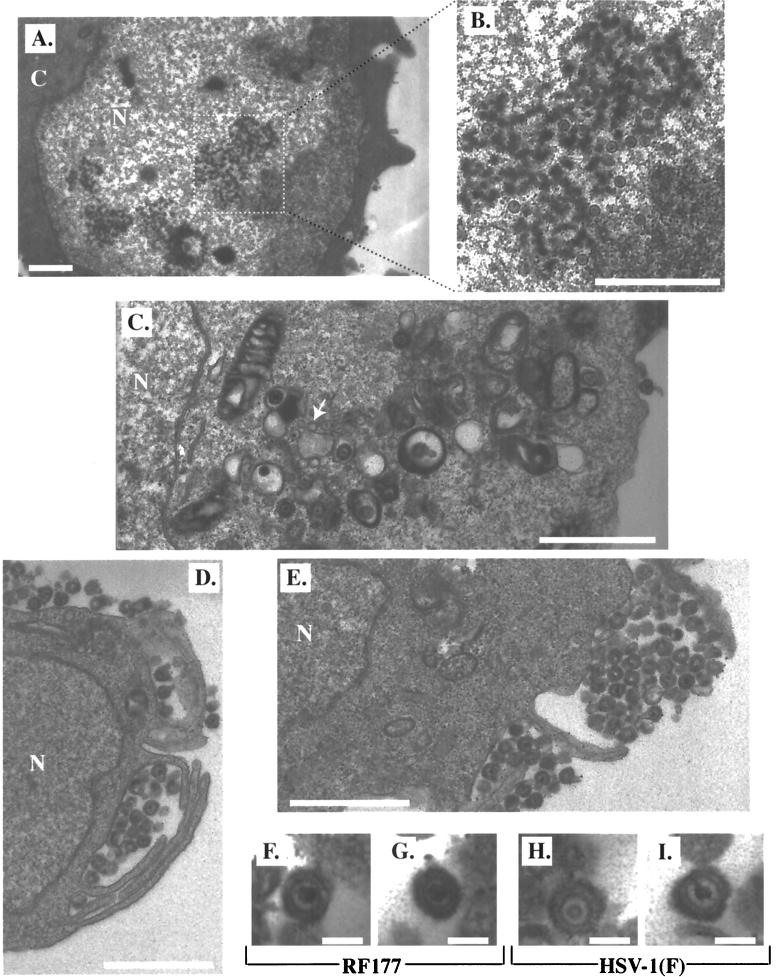 FIG. 9