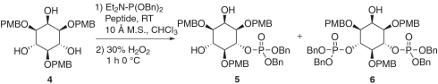 graphic file with name pnas.1001111107figX3.jpg