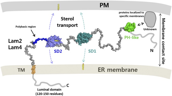 Fig. 7.