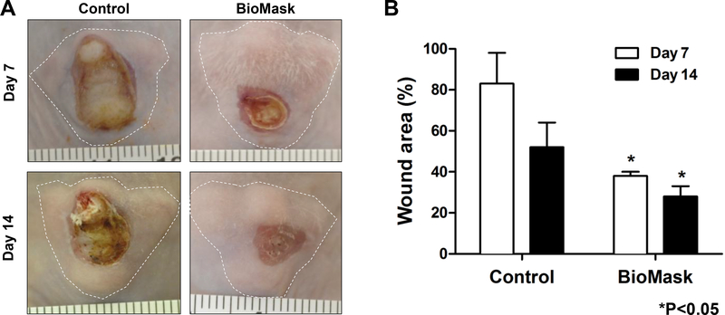 Fig 4.