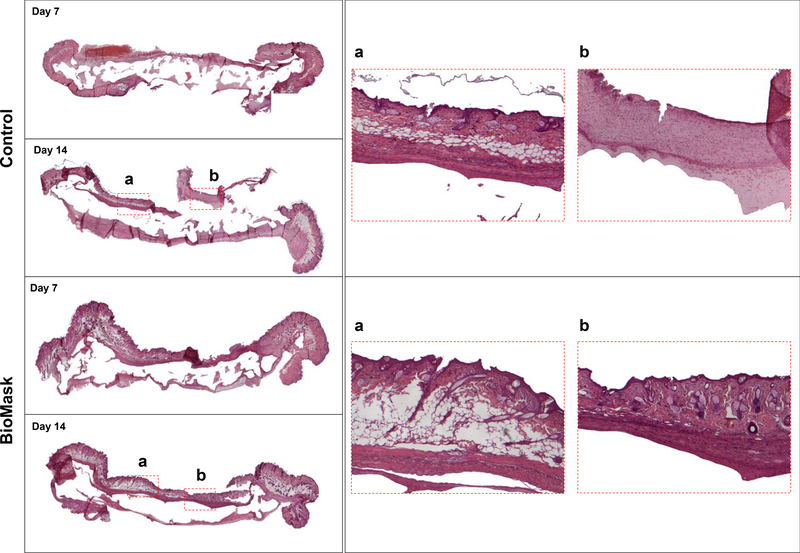 Fig 5.