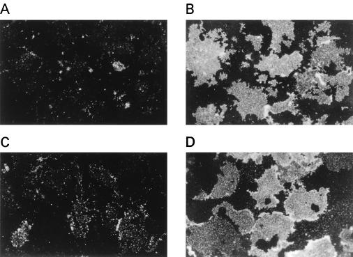 FIG. 10