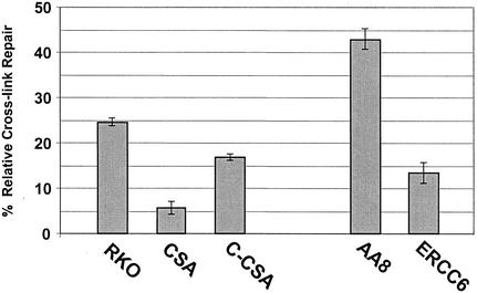 FIG. 5.