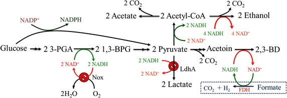 Fig. 1