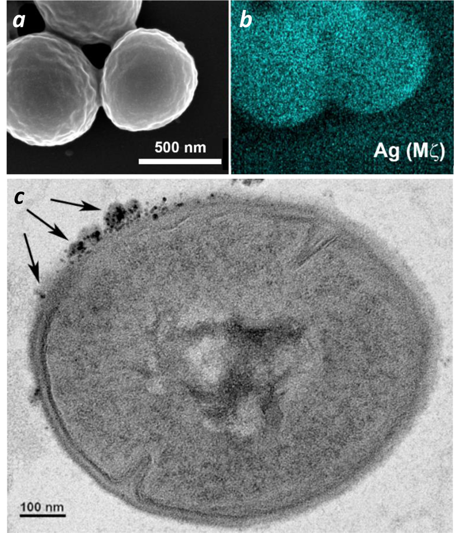 Figure 10.