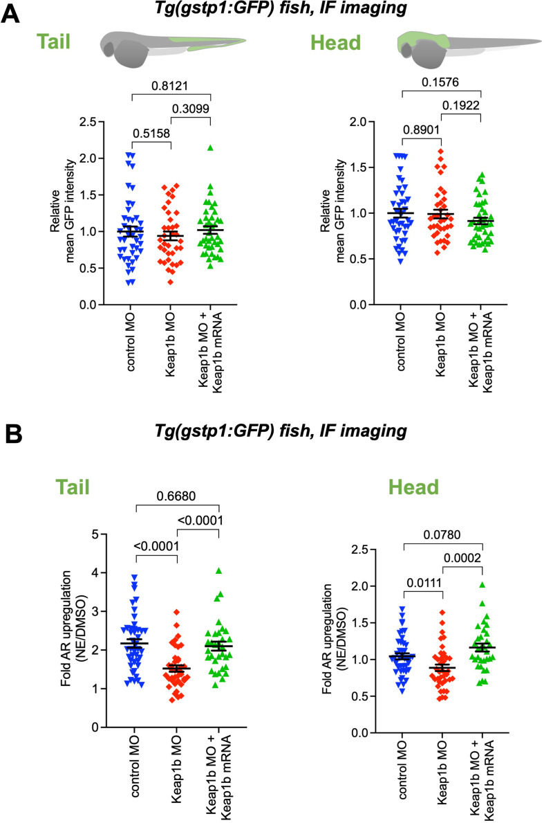 Figure 2—figure supplement 2.