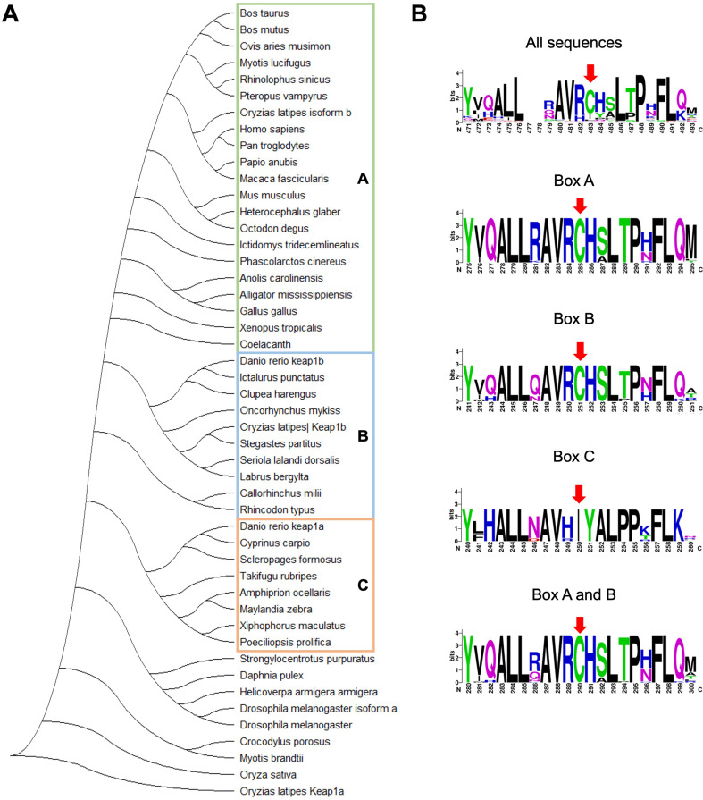 Figure 7—figure supplement 1.